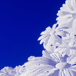 熟女高潮一区二区
